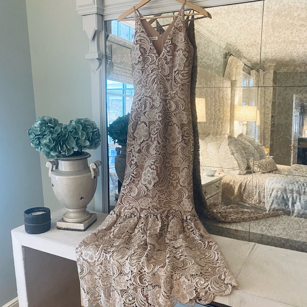 Dress the population formal lace gown